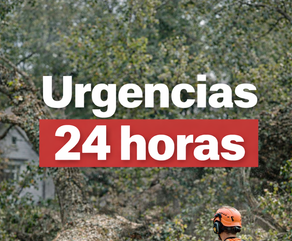 Urgencias Arboles Caidos 24hs
